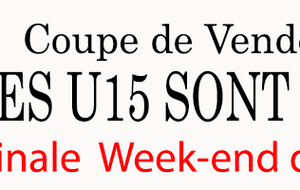 GJ PAYS CHEFFOIS - GJ VSF/USBB/USG &quot;U15-A&quot;