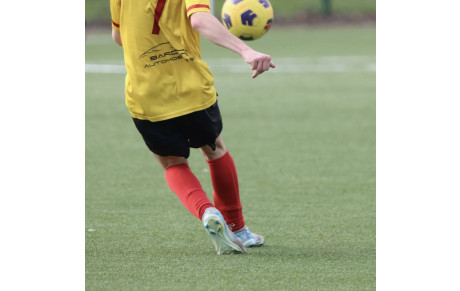 TERRAINS⚽🤝